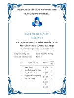 BÁO cáo bài tập lớn GIẢI TÍCH 1 ỨNG DỤNG của PHƯƠNG TRÌNH VI PHÂN TRONG mô tả QUÁ TRÌNH hấp THỤ, tỏa NHIỆT và CHUYỂN ĐỘNG của một CHẤT điểm 