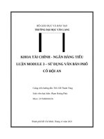 TIỂU LUẬN MODULE 3 – sử DỤNG văn bản PHỐ cổ hội AN 