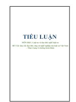 Tiểu luận Quy tắc đạo đức, ứng xử nghề nghiệp của luật sư Việt Nam – Thực trạng và hướng hoàn thiện
