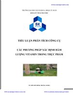 TIỂU LUẬN PHÂN TÍCH CÔNG cụ các PHƯƠNG PHÁP xác ĐỊNH hàm LƯỢNG VITAMIN TRONG THỰC PHẨM 