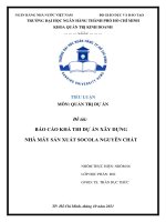 TIỂU LUẬN môn QUẢN TRỊ dự án đề tài báo cáo KHẢ THI dự án xây DỰNG NHÀ máy sản XUẤT SOCOLA NGUYÊN CHẤT 