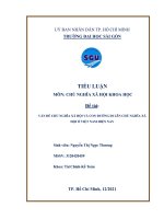 TIỂU LUẬN môn CHỦ NGHĨA xã hội KHOA HOC đề tài vấn đề CHỦ NGHĨA xã hội và CON ĐƯƠNG đi lên CHỦ NGHĨA xã hội ở VIỆT NAM HIỆN NAY 