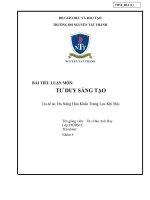 BÀI TIỂU LUẬN MÔN: TƯ DUY SÁNG TẠO Tên đề tài: Đa Năng Hóa Khẩu Trang Lọc Khí Độc