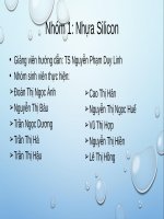 slide thuyết trình tiểu luận nhựa silicon 