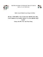 TIỂU LUẬN PHÁP LUẬT đại CƯƠNG đề tài tìm HIỂU về CÁCH xác ĐỊNH CHA mẹ   CON THEO LUẬT hôn NHÂN và GIA ĐÌNH VIỆT NAM 