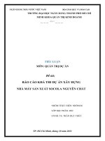 TIỂU LUẬN môn QUẢN TRỊ dự án đề tài báo cáo KHẢ THI dự án xây DỰNG NHÀ máy sản XUẤT SOCOLA NGUYÊN CHẤT 