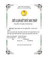 TIỂU LUẬN quan điểm của chủ nghĩa mác – lênin về sứ mệnh lịch sử của giai cấp công nhân  liên hệ với sứ mệnh lịch sử của giai cấp công nhân hiện địa và giai cấp công nhân việt nam 