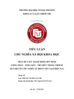 TIỂU LUẬN PHÁT HUY sức MẠNH KHỐI LIÊN MINH CÔNG NHÂN – NÔNG dân – TRÍ THỨC TRONG THỜI kì QUÁ độ lên CHỦ NGHĨA xã hội ở VIỆT NAM HIỆN NAY 