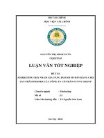 Marketing   mix nhằm gia tăng doanh số bán hàng sản phẩm proper của công ty cổ phần funny group luận văn tốt nghiệp  chuyên ngành marketing 
