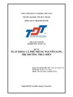 BÁO CÁO CUỐI KÌ MARKETING TOÀN CẦU ĐỀ TÀI XUẤT KHẨU CÀ PHÊ TRUNG NGUYÊN SANG THỊ TRƯỜNG thuỵ ĐIỂN