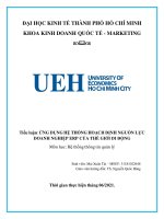 Tiểu luận ỨNG DỤNG hệ THỐNG HOẠCH ĐỊNH NGUỒN lực DOANH NGHIỆP ERP của THẾ GIỚI DI ĐỘNG
