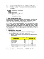 90000516 thiet ke HTXLNT KCN trang bang   tay ninh 