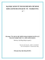 Tiểu luận ỨNG DỤNG hệ THỐNG HOẠCH ĐỊNH NGUỒN lực DOANH NGHIỆP ERP của THẾ GIỚI DI ĐỘNG