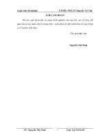 Kế toán bán hàng và xác định kết quả kinh doanh tại công ty cổ phần việt nga luận văn tốt nghiệp  chuyên ngành kế toán 