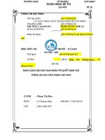 TIỂU LUẬN ĐẢNG CỘNG sản VIỆT NAM NHÂN tố QUYẾT ĐỊNH mọi THẮNG lợi của CÁCH MẠNG VIỆT NAM 