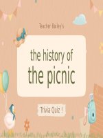 tiểu luận the history of the picnic 