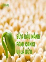 slide thuyết trình tiểu luận sữa đậu NÀNH FAMI CANXI vị lá dứa 