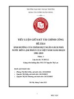 TIỂU LUẬN ẢNH HƯỞNG của THÂM hụt NGÂN SÁCH NHÀ nước đến lạm PHÁT của VIỆT NAM GIAI đoạn 1992 2019 