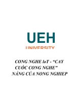 TIỂU LUẬN CUỐI kì đề tài  CÔNG NGHỆ iot cây CUỐC CÔNG NGHỆ đa NĂNG của NÔNG NGHIỆP 