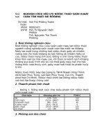 90002421 nghien cuu xu ly nuoc thai san xuat con tu mat ri duong 