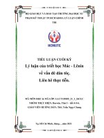 TIỂU LUẬN lý luận của triết học mác   lênin về vấn đề dân tôc̣   liên hê ̣thực tiễn  