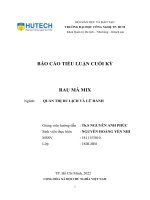 TIỂU LUẬN QUẢN TRỊ DU LỊCH và lữ HÀNH đề tài thương hiệu rau má mix  QUẢN TRỊ NGUỒN NHÂN lực TRONG DOANH NGHIỆ