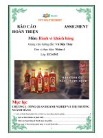 TIỂU LUẬN hoàn thiện hành vi khách tại công ty cổ phần  công nghệ   kỹ nghệ   thương mại việt tiến thiết lập người tueeu dùng mục tiêu cho sản phẩm mới 