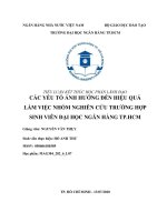 TIỂU LUẬN kết THÚC học PHẦN LÃNH đạo các yếu tố ẢNH HƯỞNG đến HIỆU QUẢ làm VIỆC NHÓM NGHIÊN cứu TRƯỜNG hợp SINH VIÊN đại học NGÂN HÀNG TP HCM 