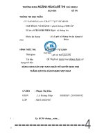 TIỂU LUẬN ĐẢNG CỘNG sản VIỆT NAM NHÂN tố QUYẾT ĐỊNH mọi THẮNG lợi của CÁCH MẠNG VIỆT NAM 