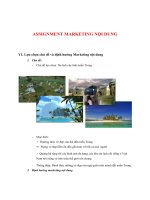TIỂU LUẬN ASSIGNMENT MARKETING nội DUNG lựa chọn chủ đề và định hướng marketing nội dung chủ đề lựa chọn du lịch các tỉnh miền trung