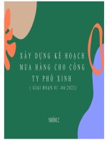 slide thuyết trình tiểu luận xây dựng kế hoạch mua hàng cho công ty phố xinh 