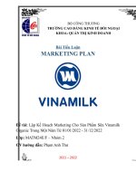 Lập kế hoạch marketing cho sản phẩm sữa vinamilk organic trong một năm từ 01 01 2022   31 12 2022 