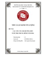 TIỂU LUẬN KINH tế LƯỢNG đề tài các yếu tố ẢNH HƯỞNG đến TUỔI THỌ TRUNG BÌNH năm 2016 