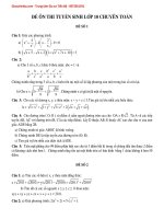 Bộ đề ôn thi vào lớp 10 THPT chuyên toán có đáp án 