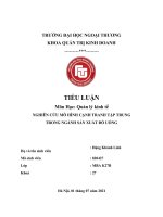 TIỂU LUẬN môn học quản lý kinh tế NGHIÊN cứu mô HÌNH CẠNH TRANH tập TRUNG TRONG NGÀNH sản XUẤT đồ UỐNG 