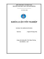 PHÂN TÍCH TÌNH HÌNH TÀI CHÍNH CÔNG TY THÉP ĐAN VIỆT