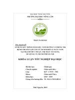 Khóa luận Áp dụng quy trình chăm sóc, nuôi dưỡng và phòng trị bệnh ở đàn lợn con từ sơ sinh đến 21 ngày tuổi tại trại lợn Đỗ Đức Thuận, thị trấn Tây Đằng, huyện Ba vì, thành phố Hà Nội