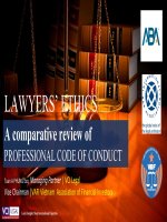 Lawyers code of conduct - IBA, ABA, VBF- new