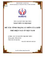 TIỂU LUẬN kết THÚC học PHẦN NHẬP môn xã hội học đề tài TÌNH TRẠNG LY hôn của GIỚI TRẺ HIỆN NAY ở VIỆT NAM 