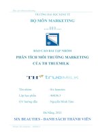 BÁO cáo bài tập NHÓM PHÂN TÍCH môi TRƯỜNG MARKETING của TH TRUEMILK 