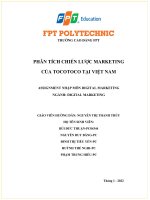 PHÂN TÍCH CHIẾN lược MARKETING của TOCOTOCO tại VIỆT NAM ASSIGNMENT NHẬP môn DIGITAL MARKETING 