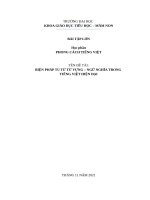 TIỂU LUẬN PHONG CÁCH TIẾNG VIỆT: PHONG CÁCH TU TỪ TỪ VỰNG – NGỮ NGHĨA TRONG  TIẾNG VIỆT HIỆN ĐẠI