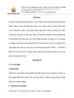 Trình bày hiểu biết của anh (chị) về chiến lược marketing của thương hiêu coca cola tại thị trường việt nam 