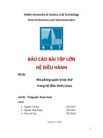 BÁO CÁO BÀI TẬP LỚN HỆ ĐIỀU HÀNH Đề tài Mô quản lý nhớ hệ điều hành Linux