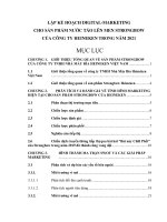 LẬP kế HOẠCH DIGITAL MARKETING CHO sản PHẨM nước táo lên MEN STRONGBOW của CÔNG TY HEINEKEN TRONG năm 2021