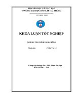 GIẢI PHÁP PHÁT TRIỂN DỊCH VỤ THẺ TẠI NGÂN HÀNG NÔNG NGHIỆP VÀ PHÁT TRIỂN NÔNG THÔN - CHI NHÁNH THỦY NGUYÊN