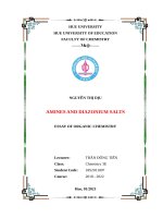 tiểu-luận-hóa-học-hữu-cơ-Nguyễn-Thị-Dịu-27-02-2021