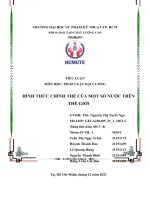 TIỂU LUẬN MÔN HỌC: PHÁP LUẬT ĐẠI CƯƠNG HÌNH THỨC CHÍNH THỂ CỦA MỘT SỐ NƯỚC TRÊN THẾ GIỚI