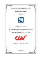 Phân tích môi trường kinh doanh của CJ CGV Việt Nam