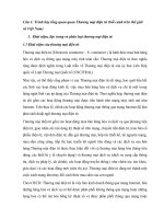 TIỂU LUẬN trình bày tổng quan quan thương mại điện tử (bối cảnh trên thế giới và việt nam)